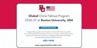 Global China Fellows Program 2026