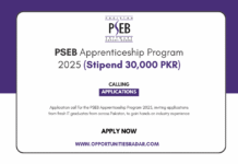 PSEB Apprenticeship Program 2025 (Stipend 30,000 PKR)