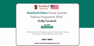 Stanford Fisher Family Summer Fellows Program 2026