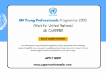 UN Young Professionals Programme 2025 (Work for United Nations) UN Young Professionals Programme 2025