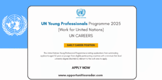 UN Young Professionals Programme 2025