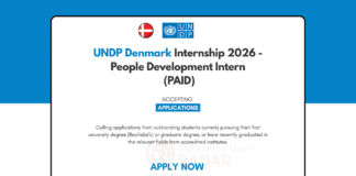 UNDP Denmark Internship 2026