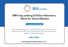 UNV Iraq seeking 6 Online Volunteers – Work for United Nations UNV Iraq seeking 6 Online Volunteers