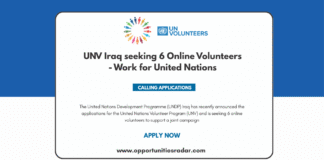 UNV Iraq seeking 6 Online Volunteers