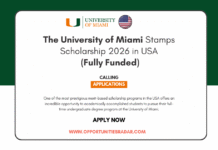 University of Miami Stamps Scholarship 2026 in USA (Fully Funded) University of Miami Stamps Scholarship 2026