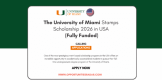 University of Miami Stamps Scholarship 2026