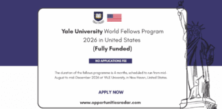 Yale University World Fellows Program 2026