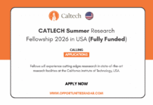 CATLECH Summer Research Fellowship 2026
