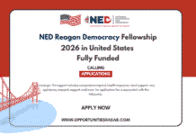 NED Reagan Democracy Fellowship 2026