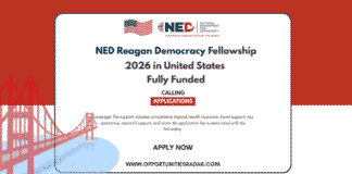NED Reagan Democracy Fellowship 2026
