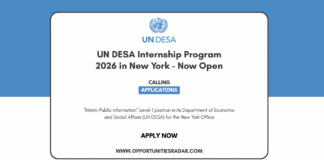UN DESA Internship Program 2026