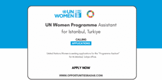 UN Women Programme Assistant for Istanbul, Turkiye
