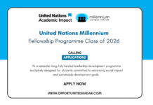 United Nations Millennium Fellowship 2026