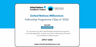 United Nations Millennium Fellowship 2026