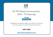 United Nations YPP Global Communication 2025 (P2) – Position United Nations YPP Global Communication 2025
