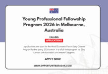 Young Professional Fellowship program 2026