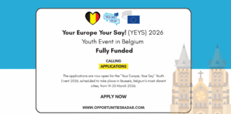 Your Europe Your Say 2026