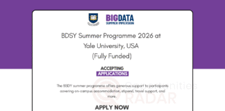BDSY Summer Programme 2026