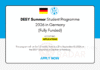 DESY Summer Student Programme 2026