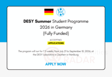 DESY Summer Student Programme 2026 in Germany (Fully Funded) DESY Summer Student Programme 2026