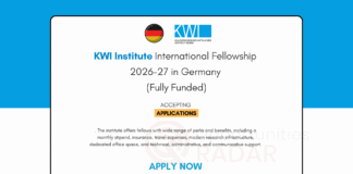 KWI Institute International Fellowship 2026