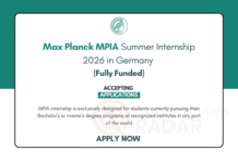 Max Planck MPIA Summer Internship 2026