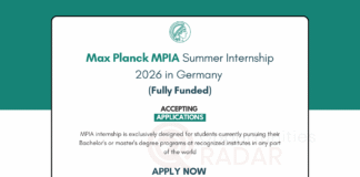 Max Planck MPIA Summer Internship 2026