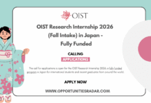 OIST Research Internship 2026 fall