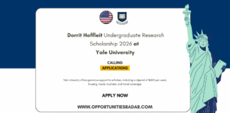 Dorrit Hoffleit Undergraduate Research Scholarship 2026