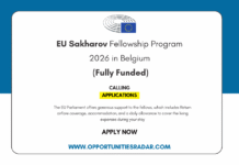 EU Sakharov Fellowship Programme 2026
