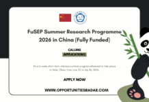 FuSEP Summer Research Programme 2026