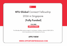 NTU Global Connect Fellowship 2026