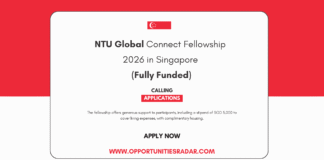 NTU Global Connect Fellowship 2026