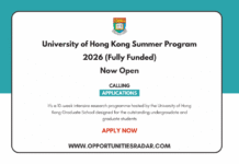 University of Hong Kong Summer Program 2026