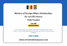 Romanian Government Scholarship 2026