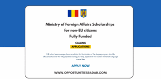 Romanian Government Scholarship 2026