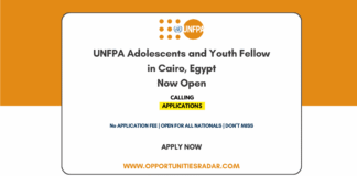 UNFPA Adolescents and Youth Fellow 2026