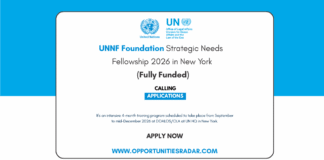 UNNF Foundation Strategic Needs Fellowship 2026