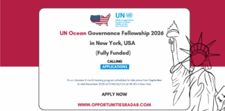 UNNF Ocean Governance Fellowship 2026