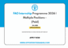 FAO Internship Program 2026