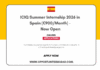 ICIQ Summer Internship 2026 in Spain