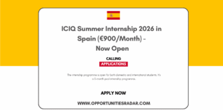 ICIQ Summer Internship 2026 in Spain