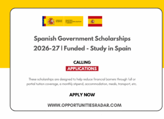 Spanish Government Scholarships 2026