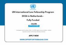 UN International Law Fellowship Program 2026