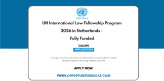 UN International Law Fellowship Program 2026