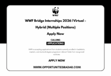 WWF Bridge Internships 2026 | Virtual – Hybrid (Multiple Positions) WWF Bridge Internships 2026