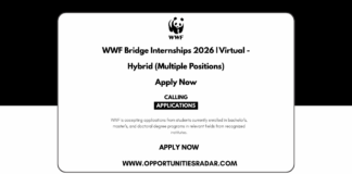 WWF Bridge Internships 2026