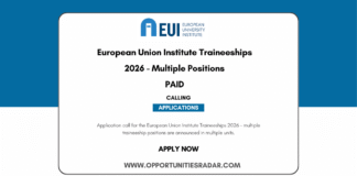 European Union Institute Traineeships 2026