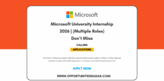 Microsoft University Internship 2026