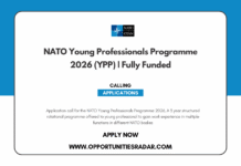 NATO Young Professionals Programme 2026